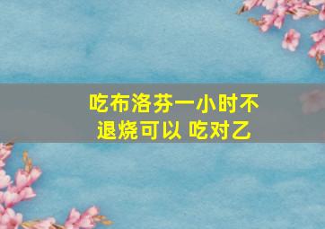 吃布洛芬一小时不退烧可以 吃对乙